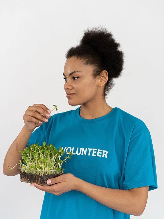 ছোট স্প্রাউট বড় পুষ্টি!