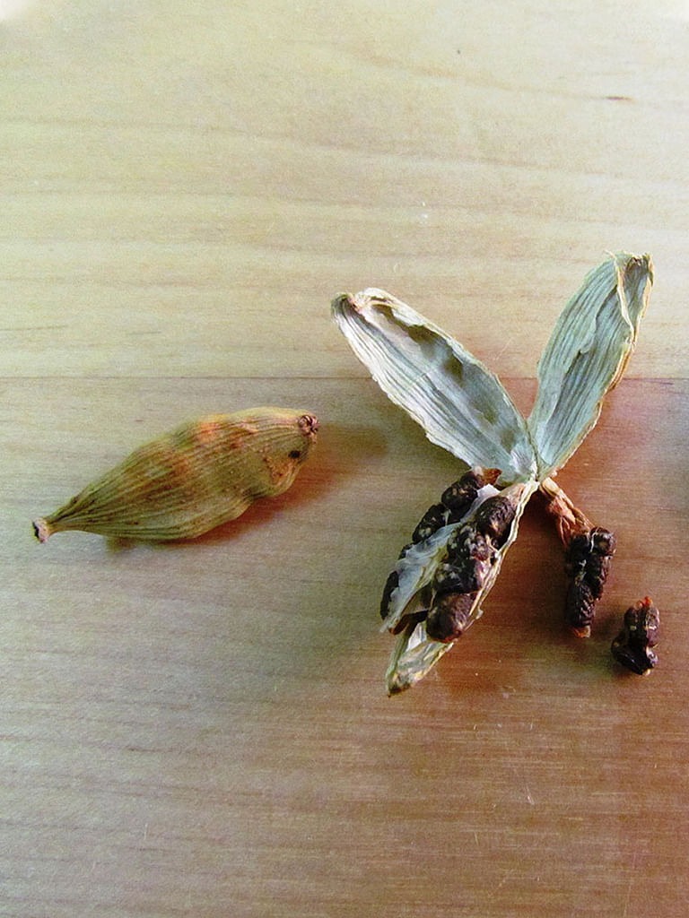 পেট ফাঁপার সমস্যা দূর করতে একটা এলাচিই হতে পারে মুশকিল আসান – আলমগীর আলম